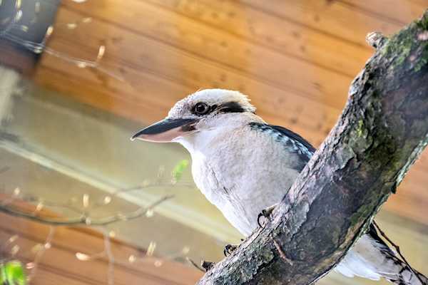 Pafos Zoo - the first licensed animal park in Cyprus