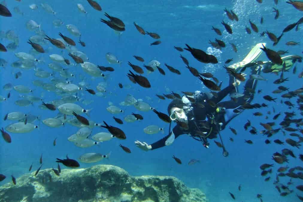 Leonardo Hotels & Resorts Mediterranean - dgrScubaDiving_01